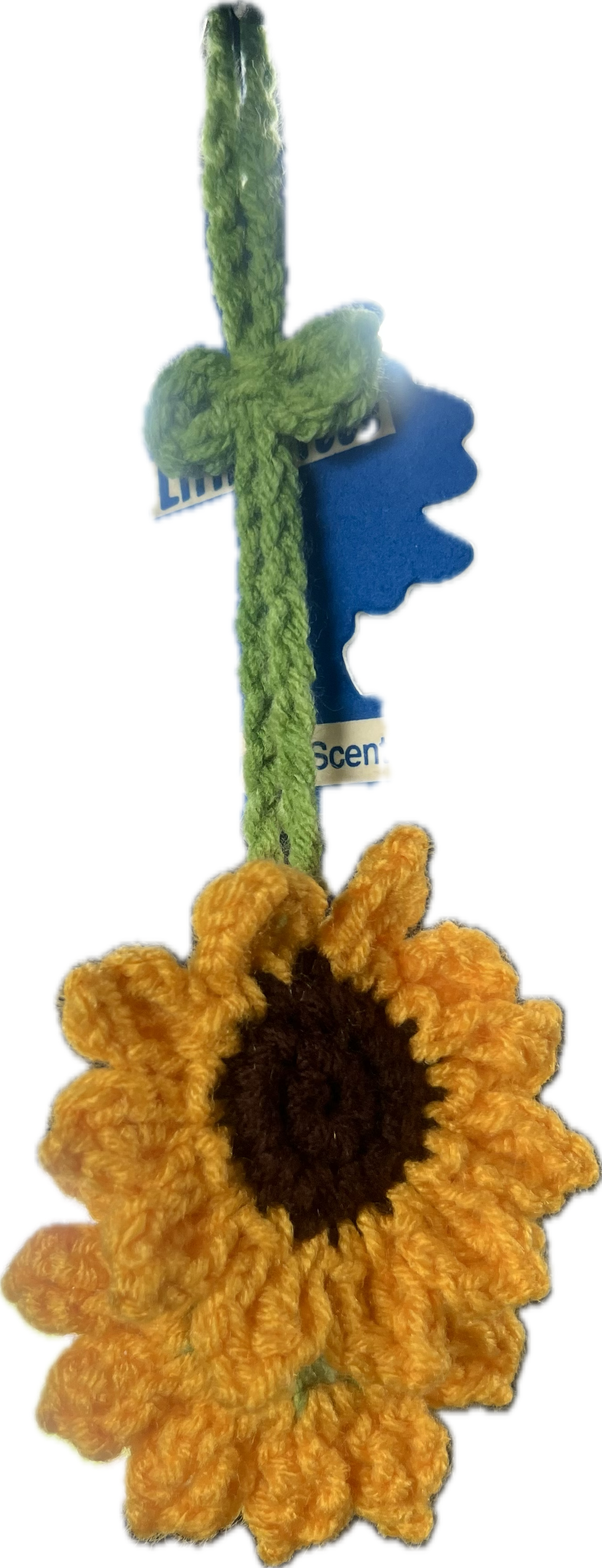 Hanging Sunflower